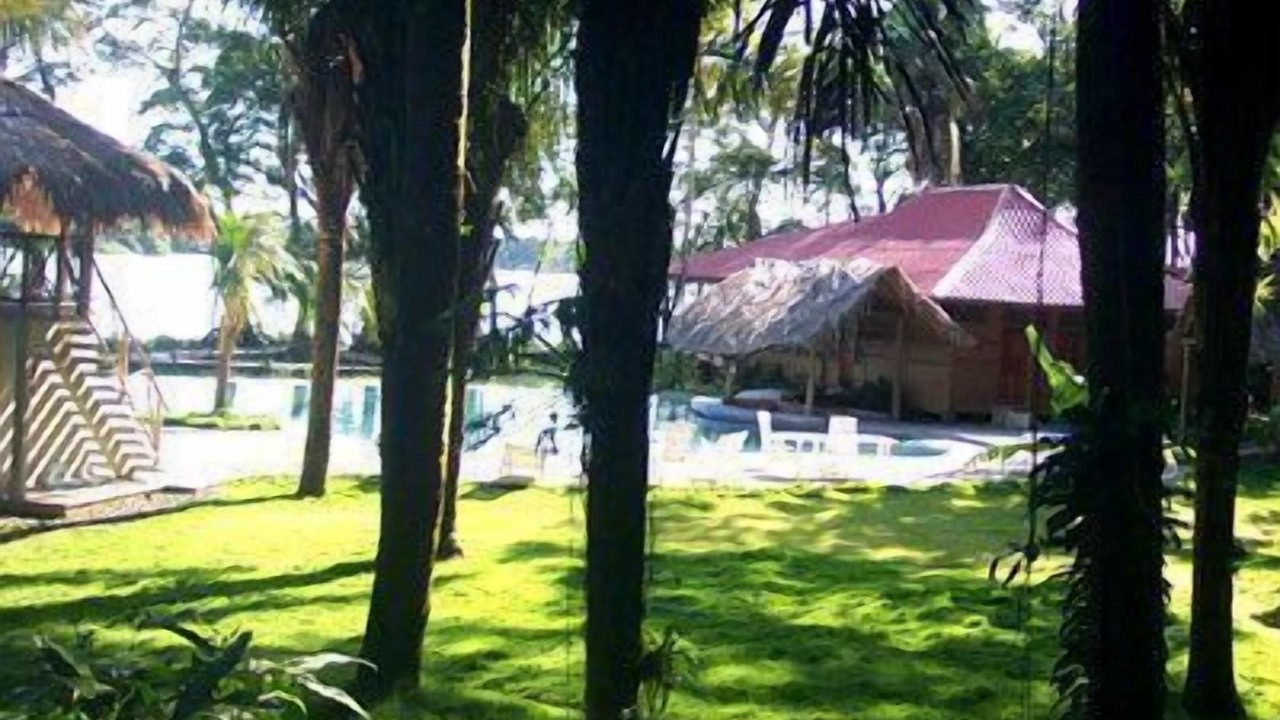 Photo of Outdoor in Greytown