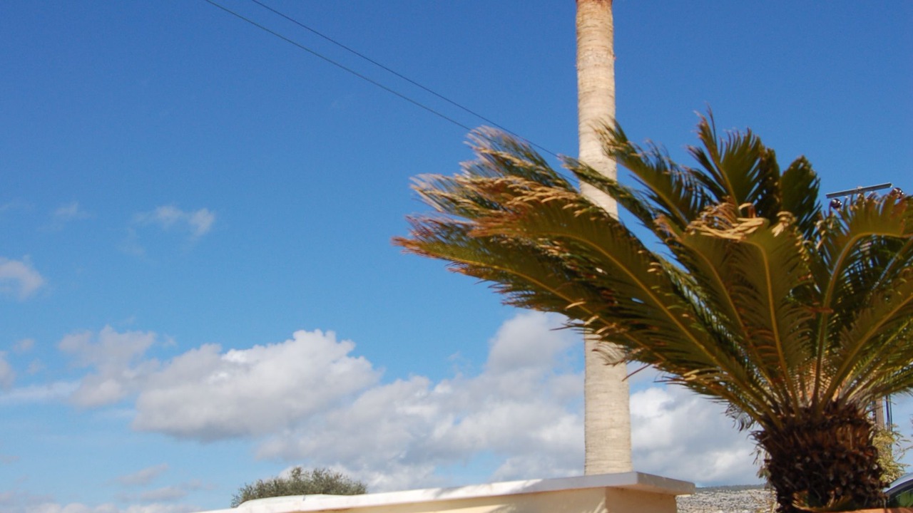 Photo of Outdoor in Pegeia