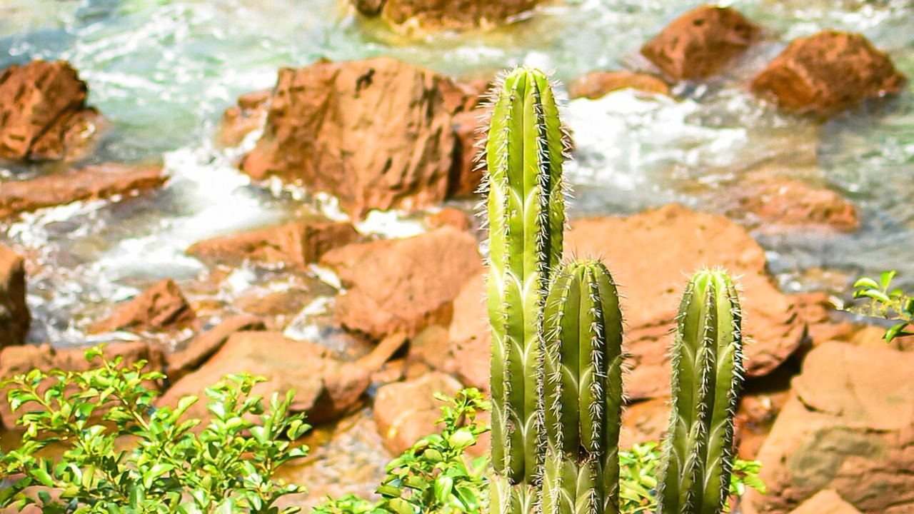 Photo of Outdoor in Playa La Redonda