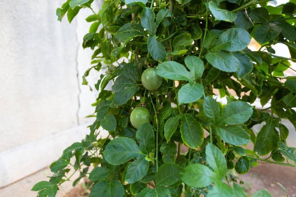 Photo of Outdoor in Larnaca