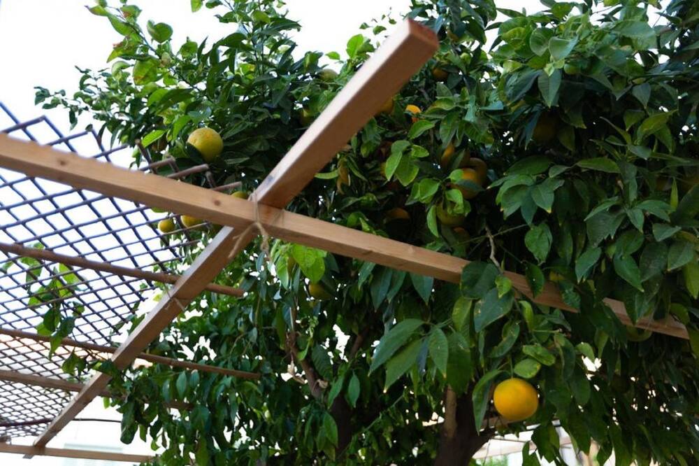 Photo of Outdoor in Larnaca