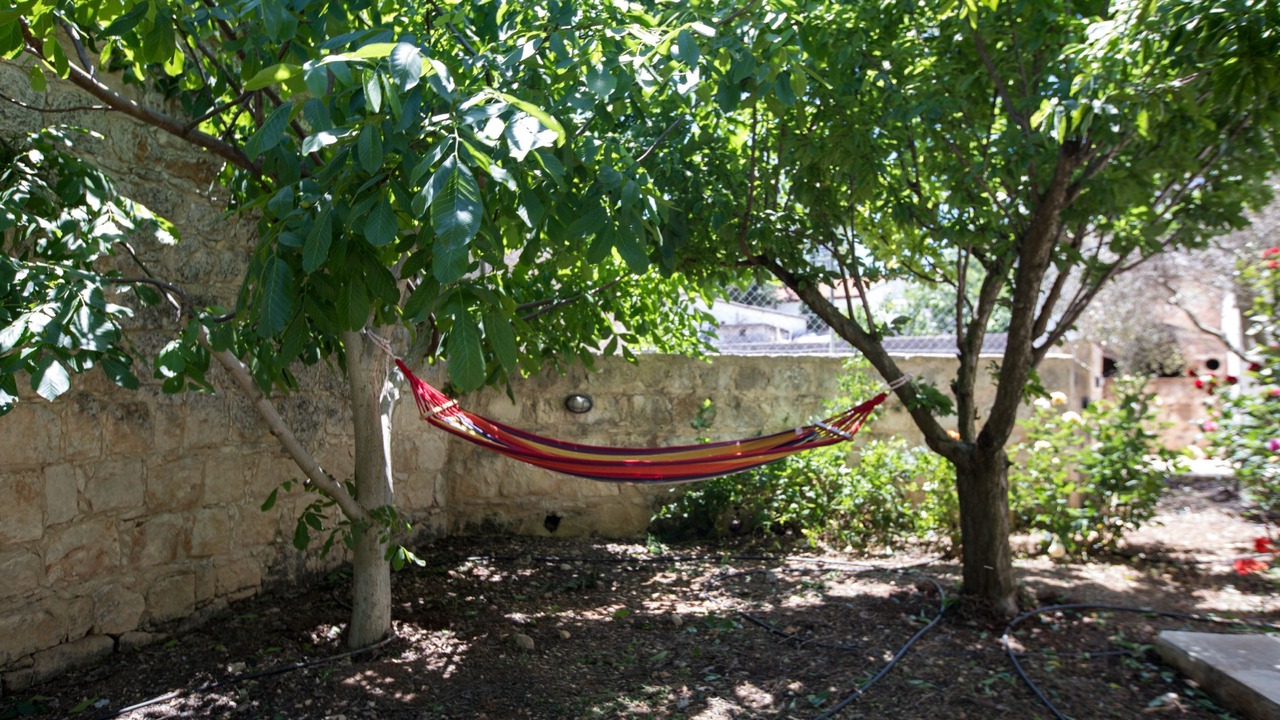 Photo of Outdoor in Droushia