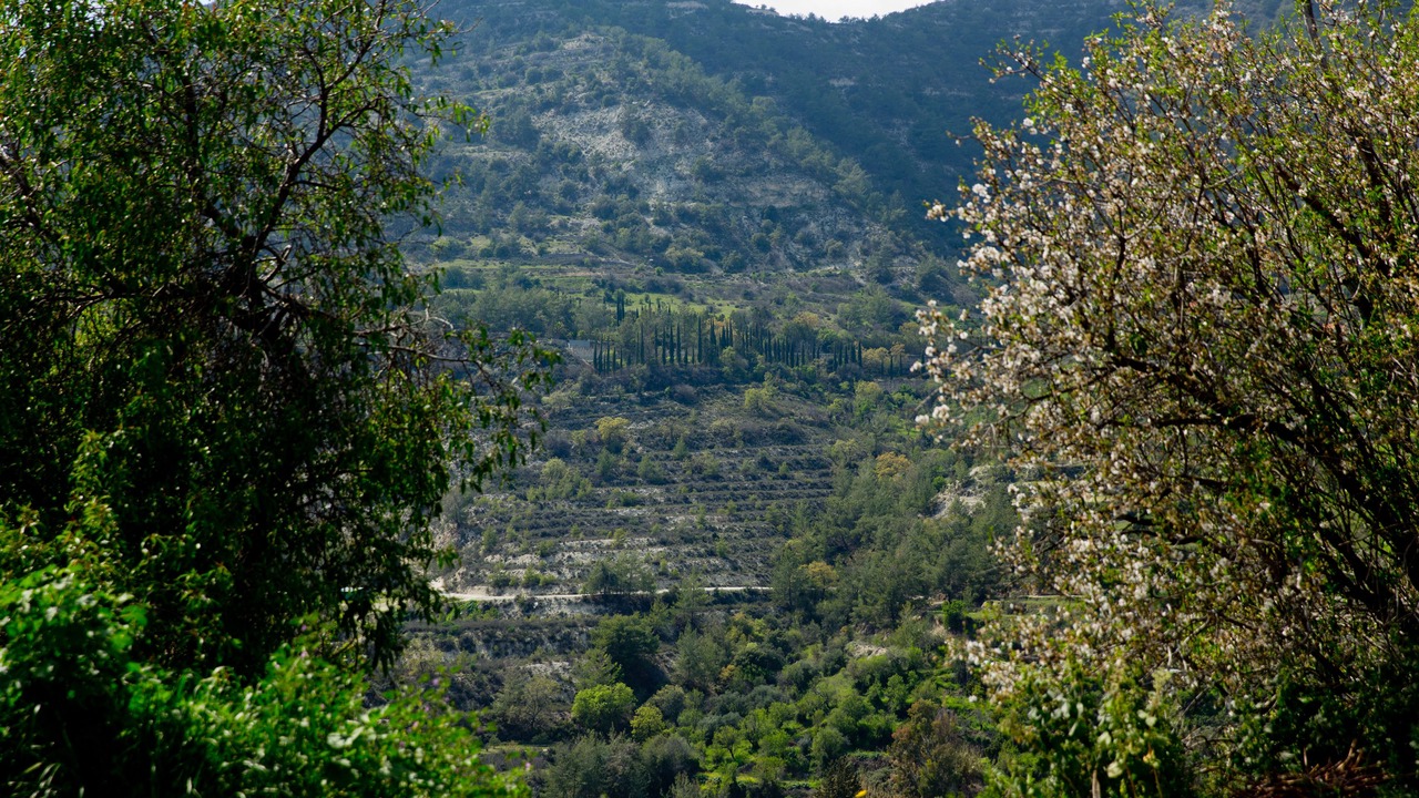 Photo of Bedroom in Dhoros