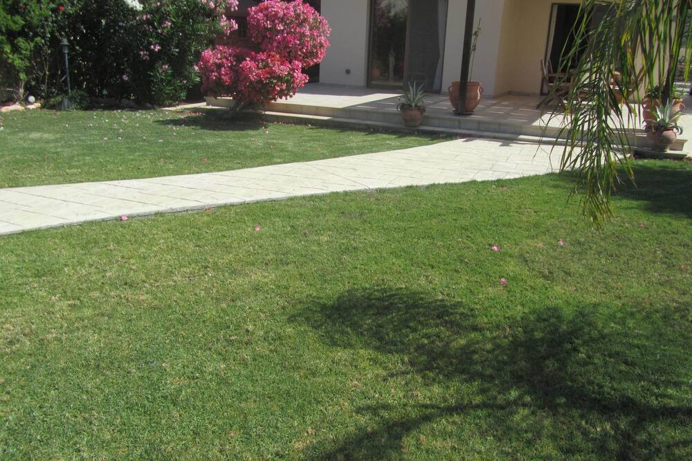 Photo of Outdoor in Pissouri