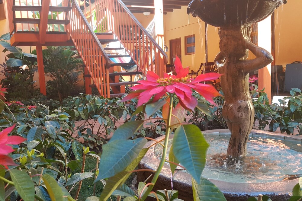 Photo of Outdoor in Granada