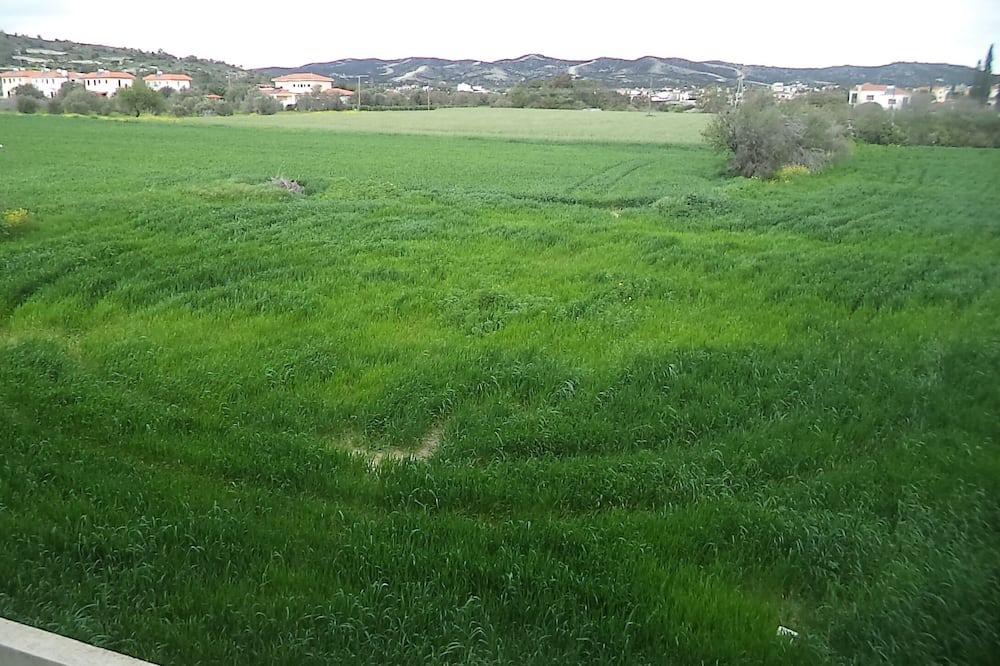 Photo of Others in Alethriko