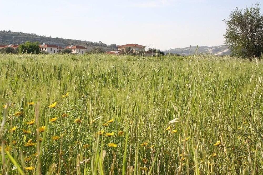 Photo of Outdoor in Alethriko