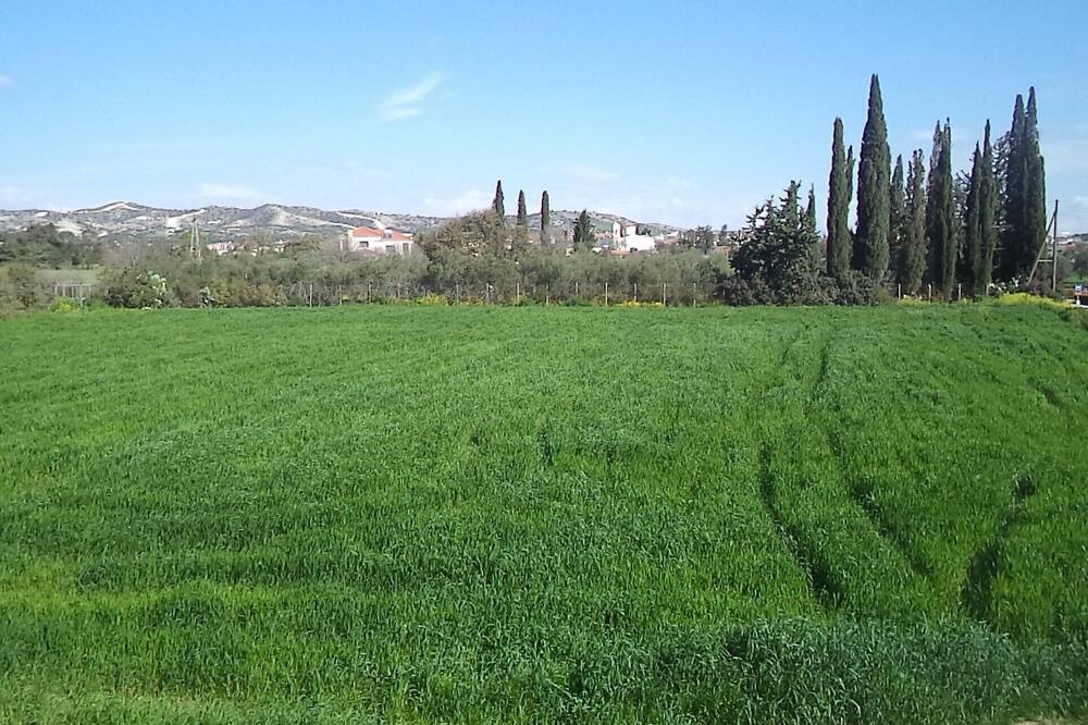 Photo of Outdoor in Alethriko