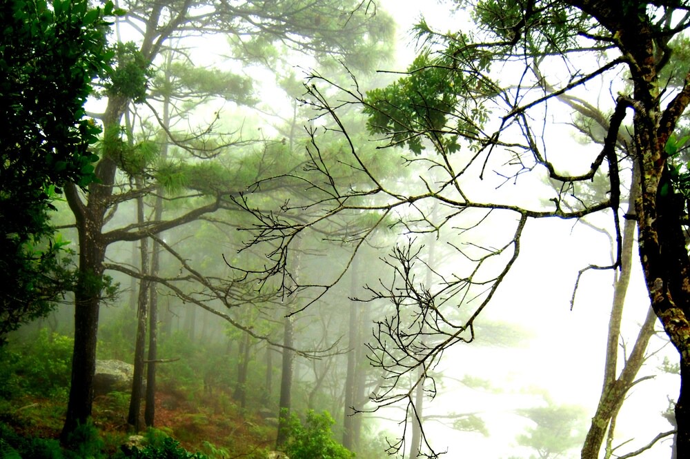Photo of Outdoor in San Nicolas