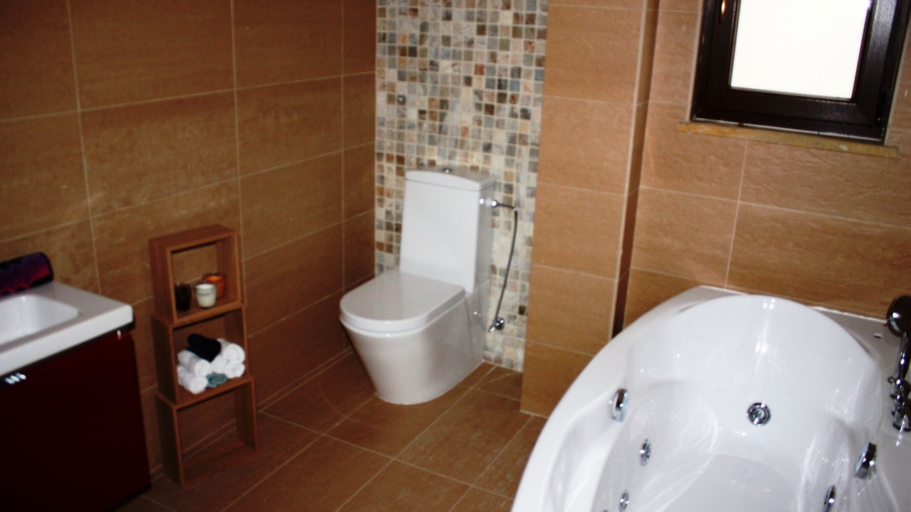 Photo of Bathroom in Anogyra