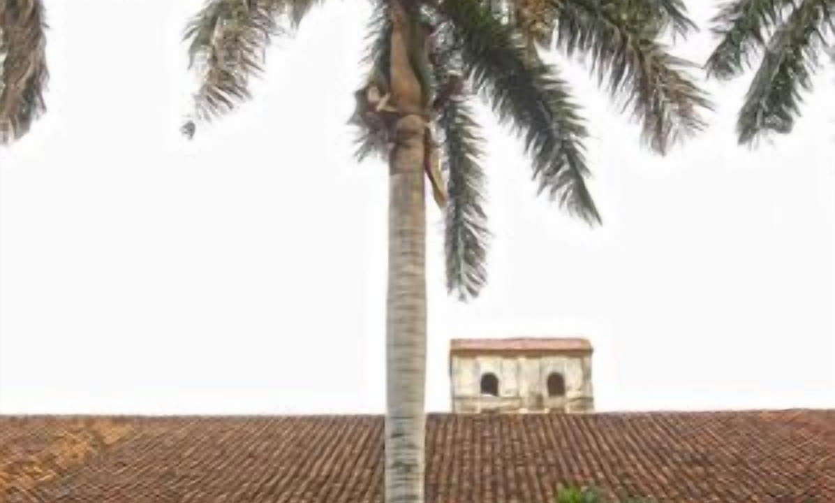 Photo of Outdoor in Leon