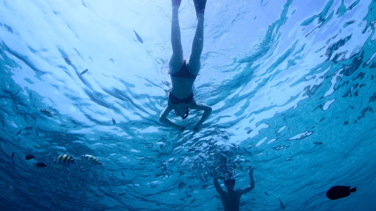 Photo of Others in San Juan del Sur