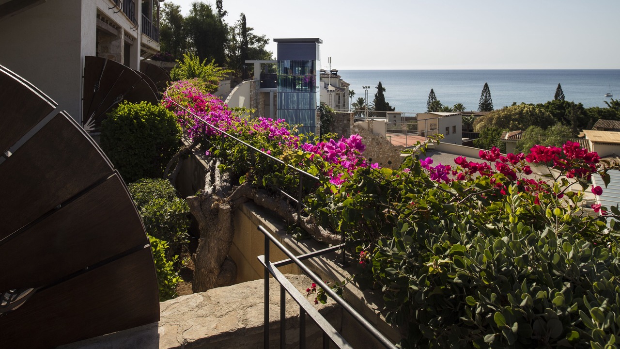 Photo of Outdoor in Pissouri