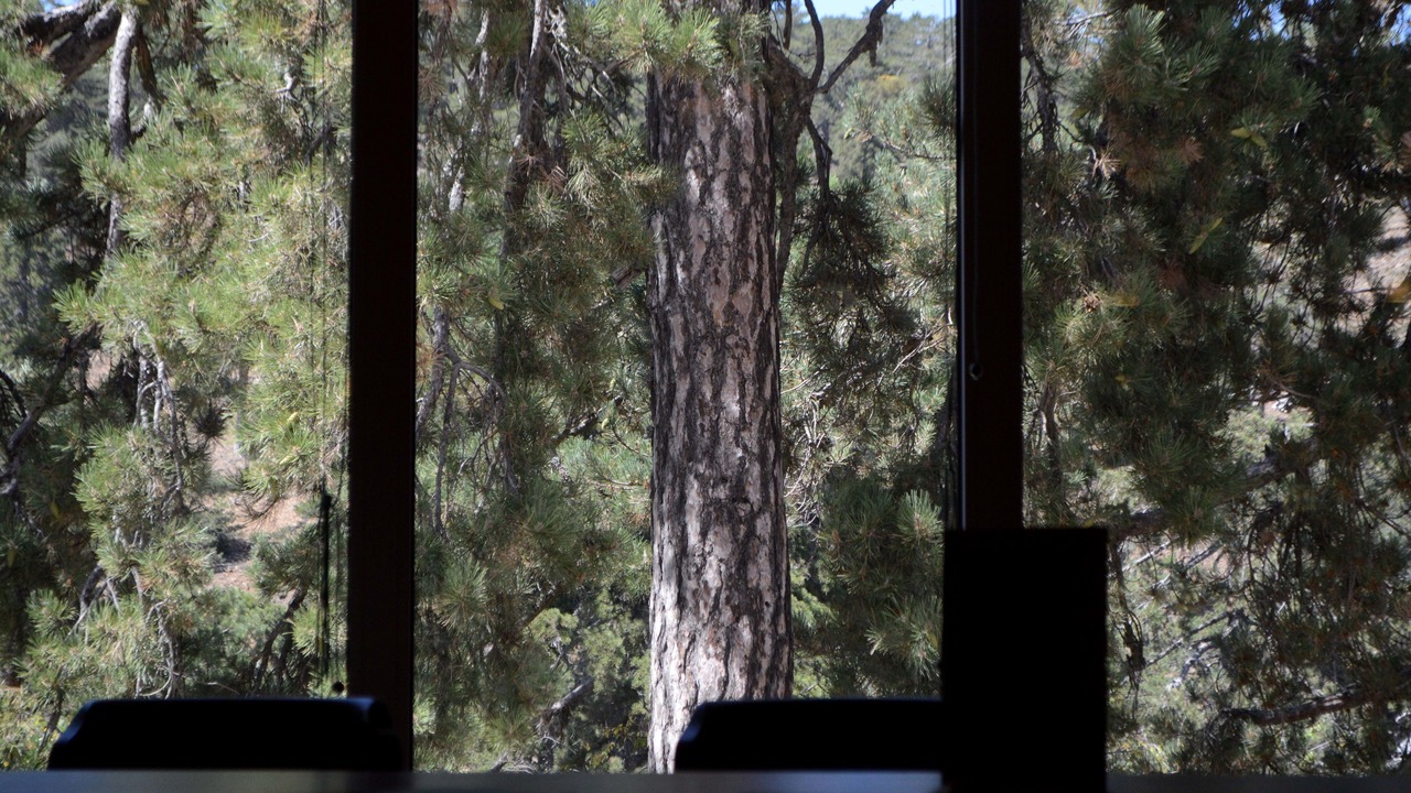 Photo of Others in Troodos