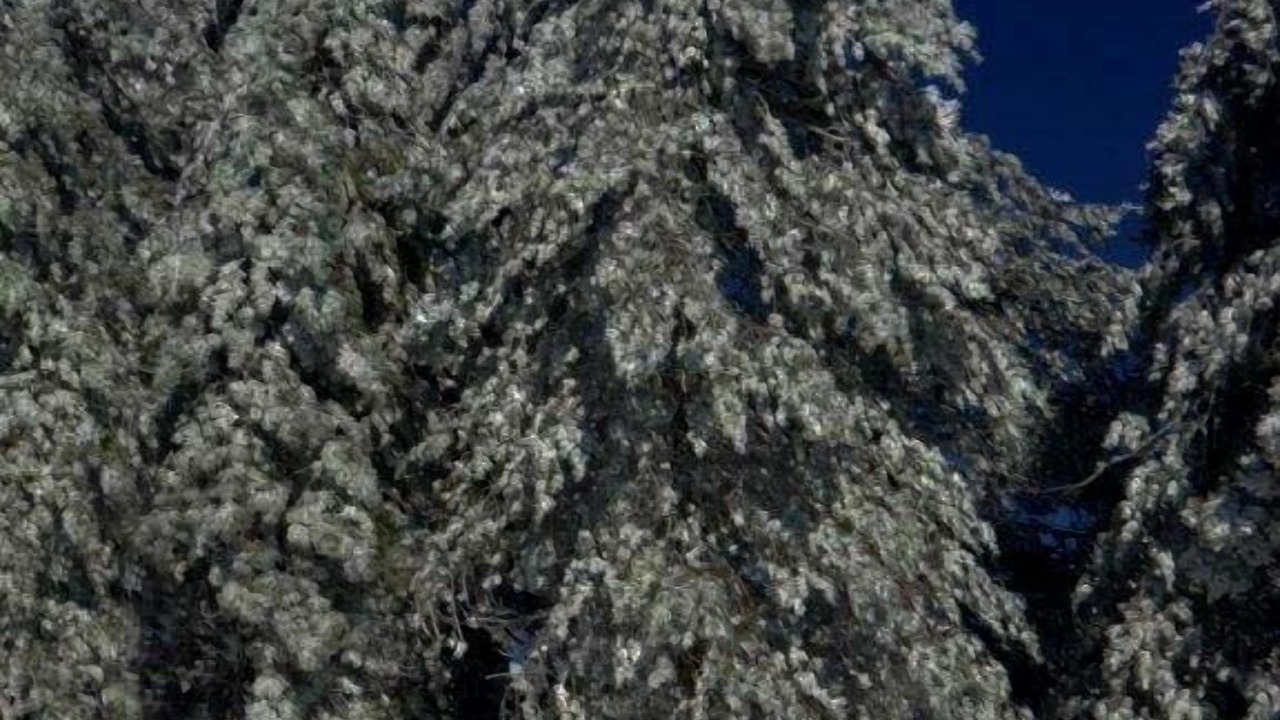 Photo of Others in Troodos