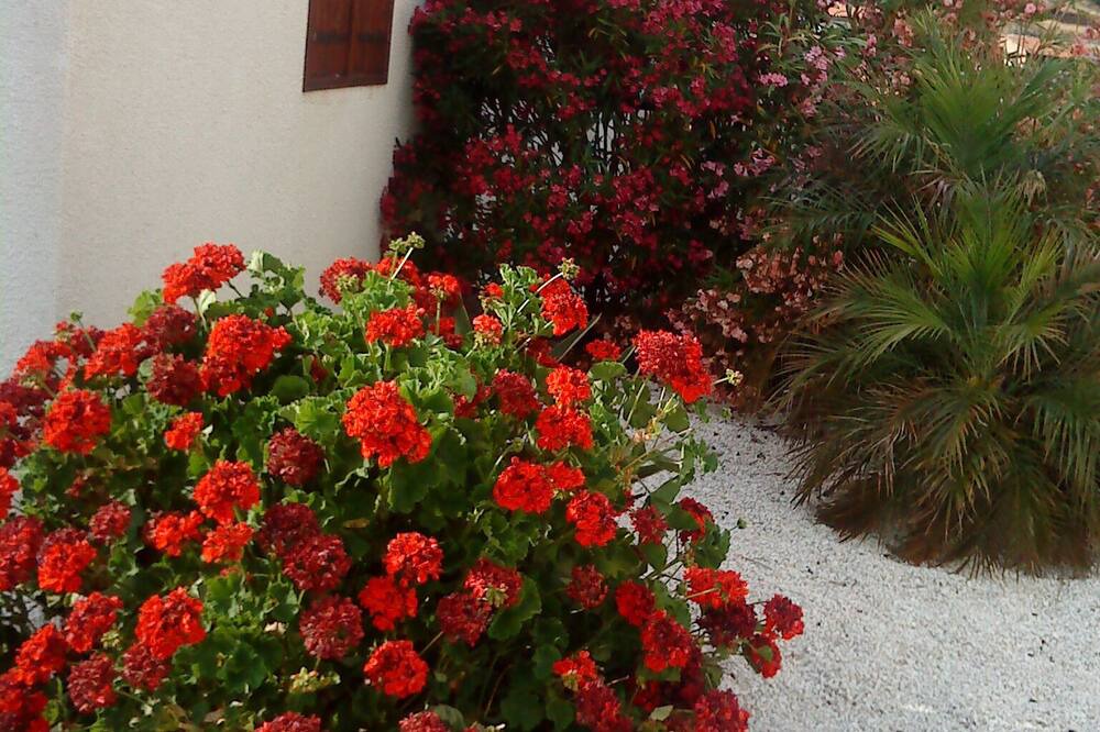 Photo of Outdoor in Akapnou