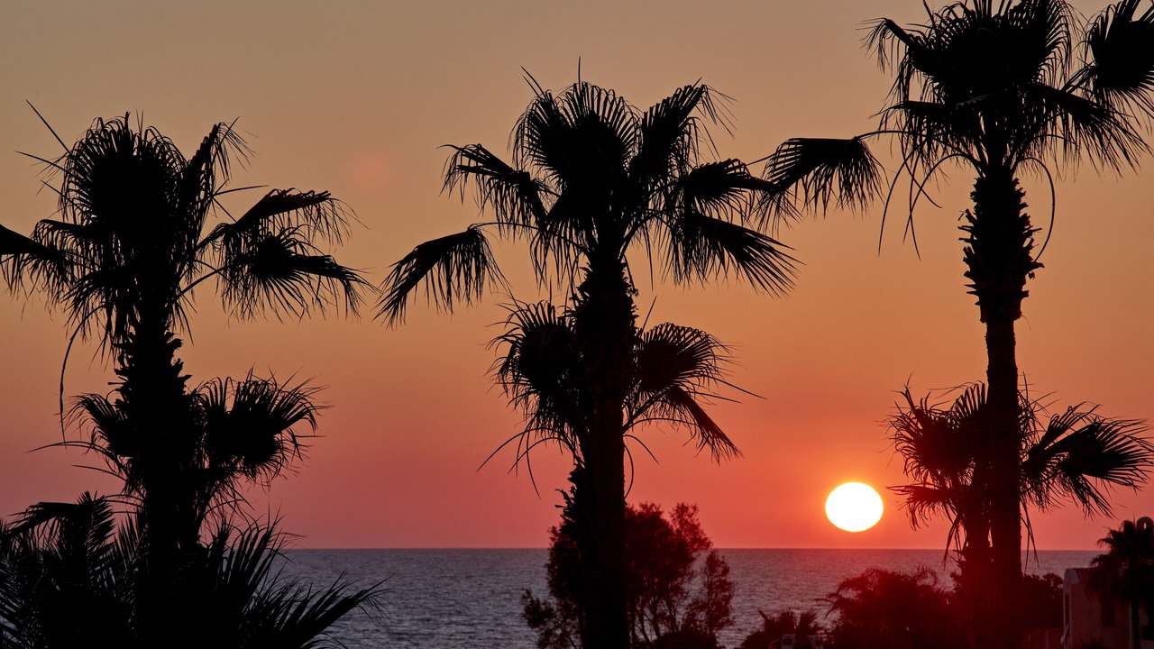 Photo of Outdoor in Kissonerga