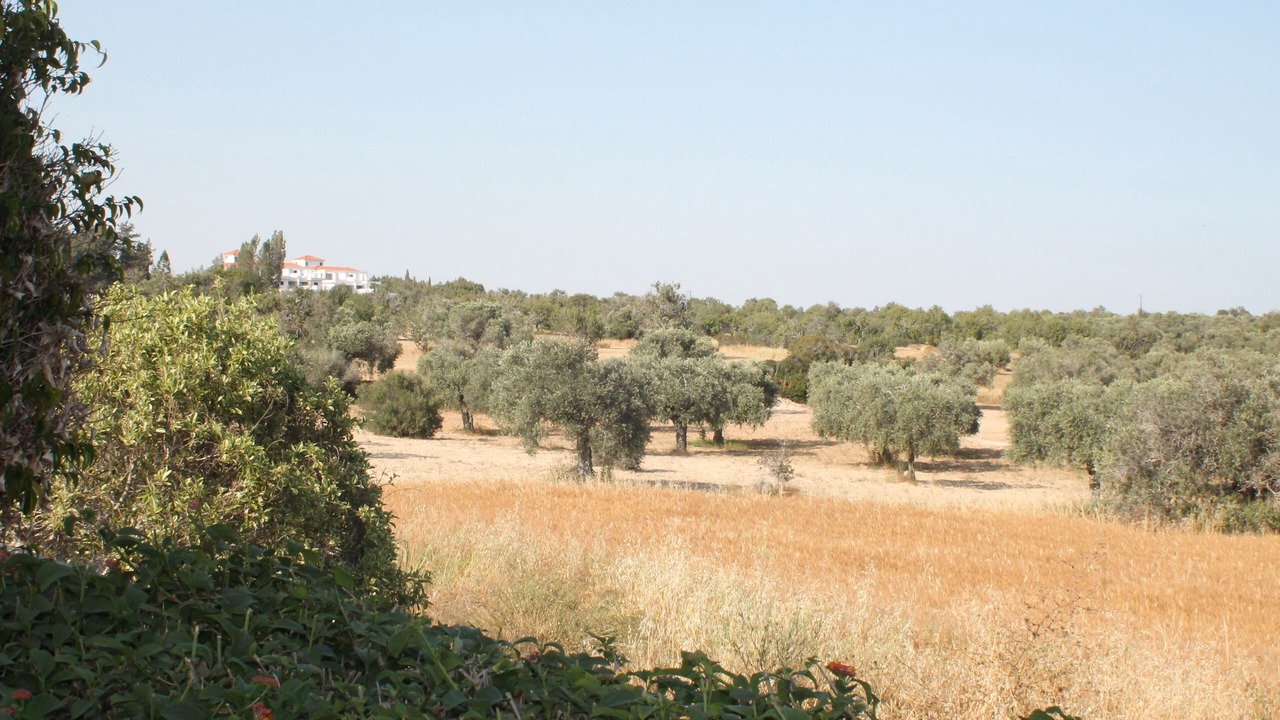 Photo of Outdoor in Mazotos