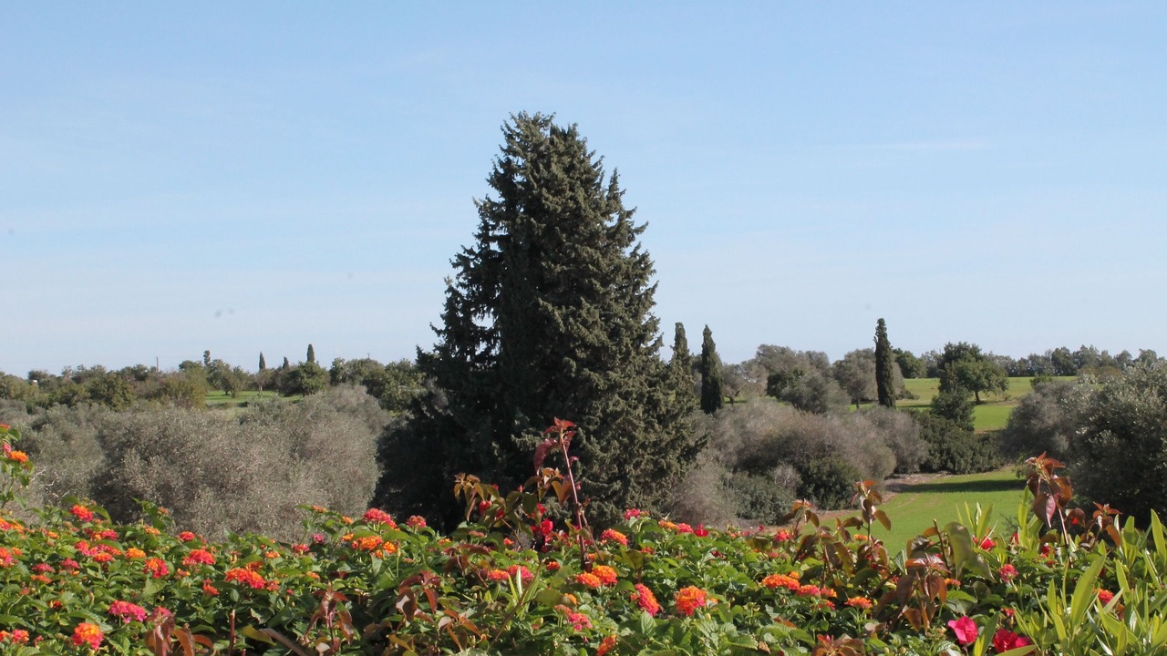 Photo of Outdoor in Mazotos