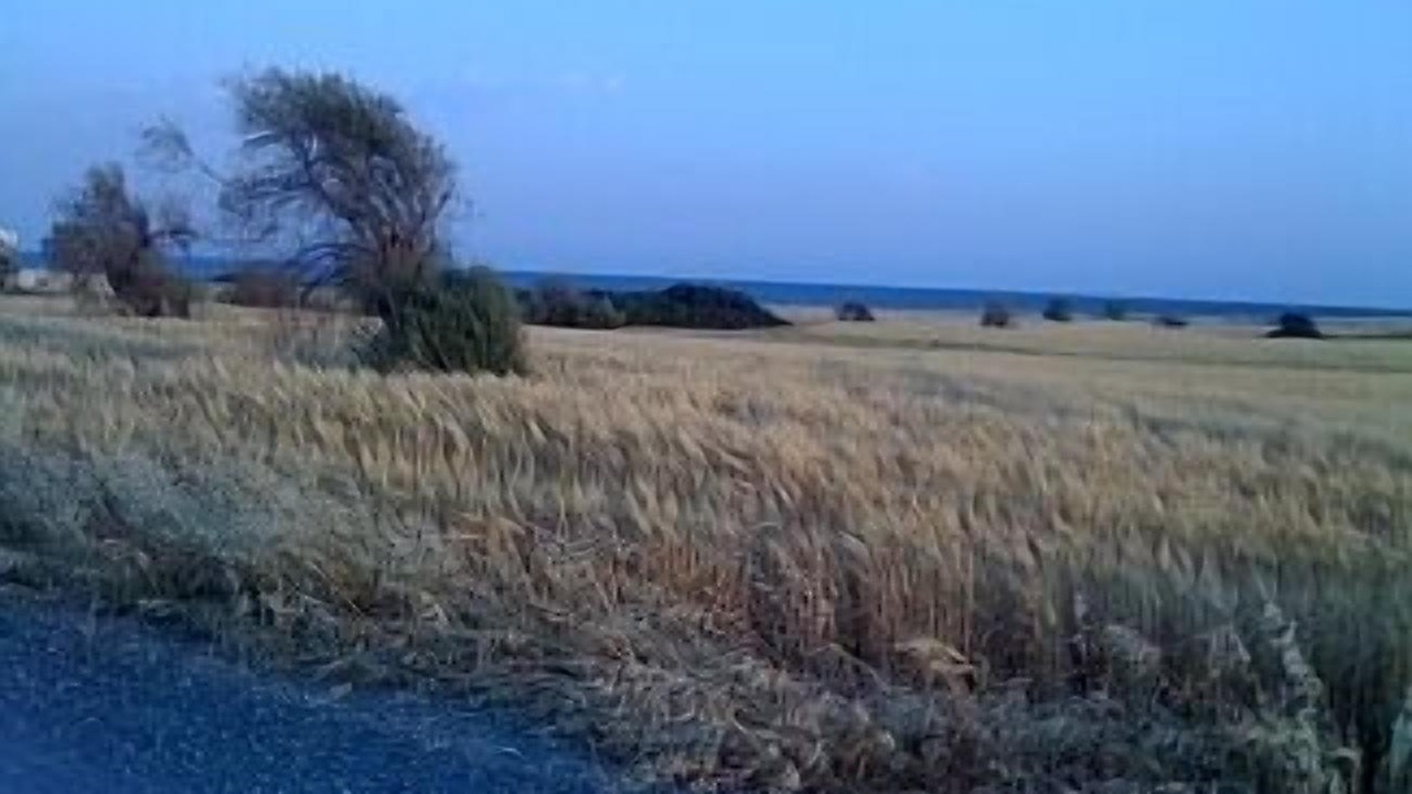 Photo of Others in Mazotos