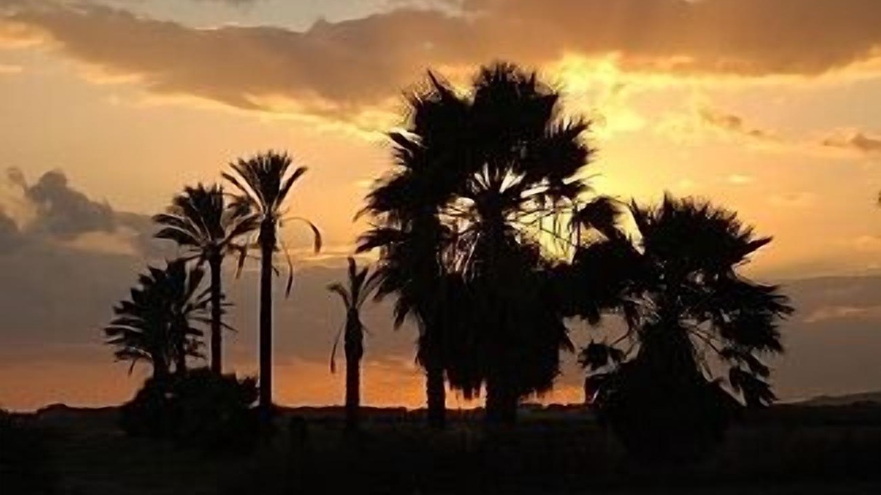 Photo of Outdoor in Mazotos