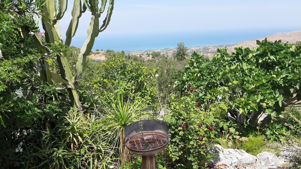 Photo of Outdoor in Latchi