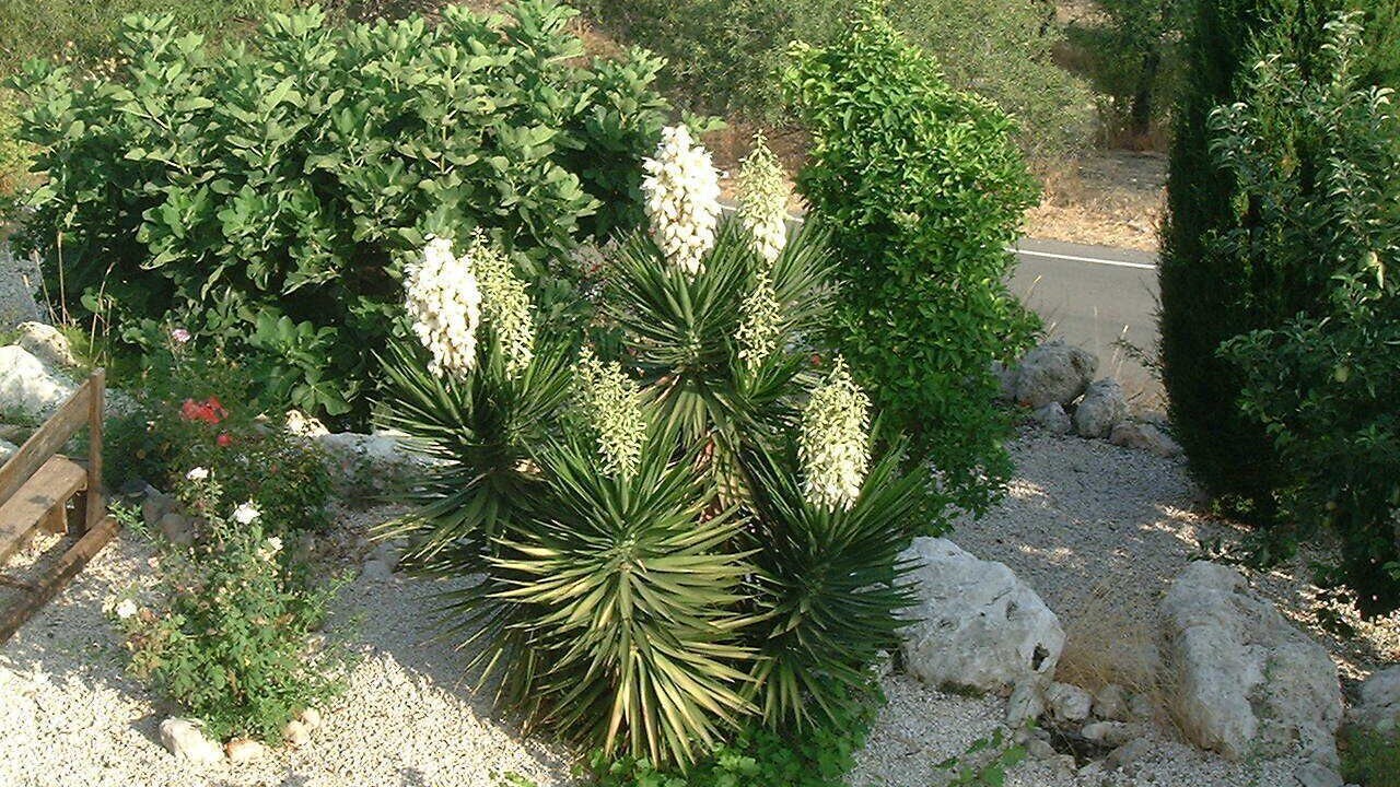 Photo of Outdoor in Latchi