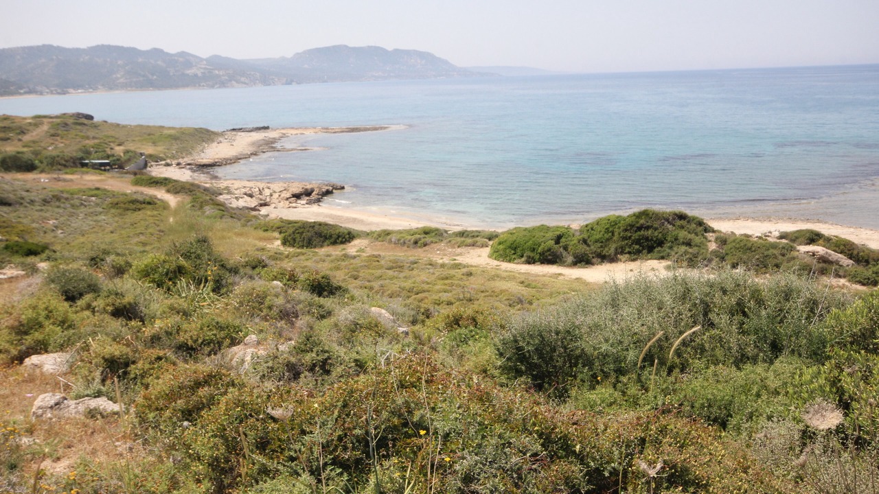 Photo of Others in Karsiyaka