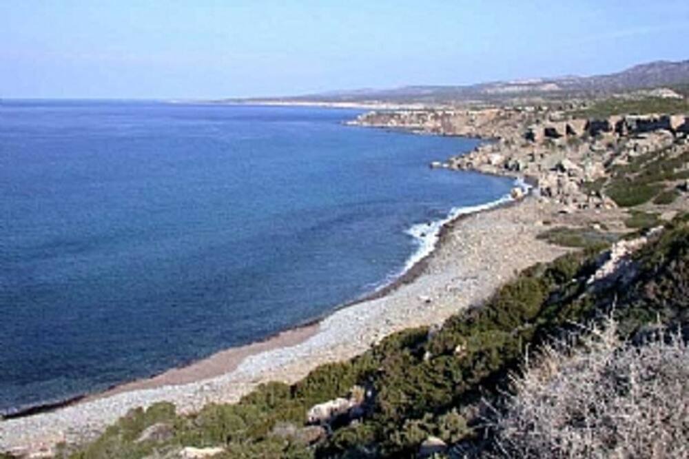 Photo of Others in Tala