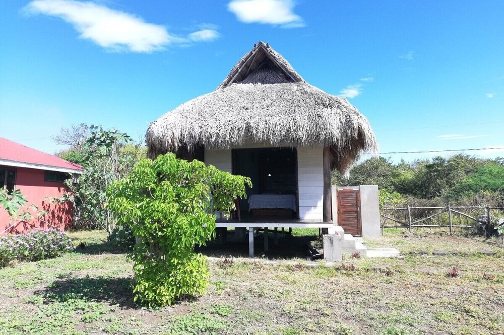Photo of Outdoor in Leon