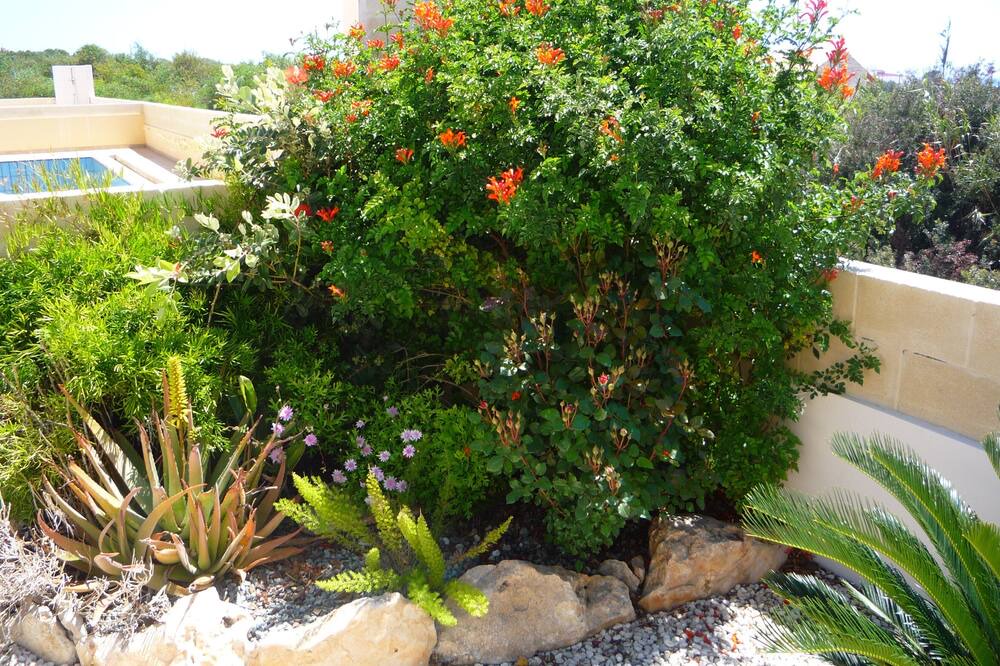 Photo of Outdoor in Ayia Napa