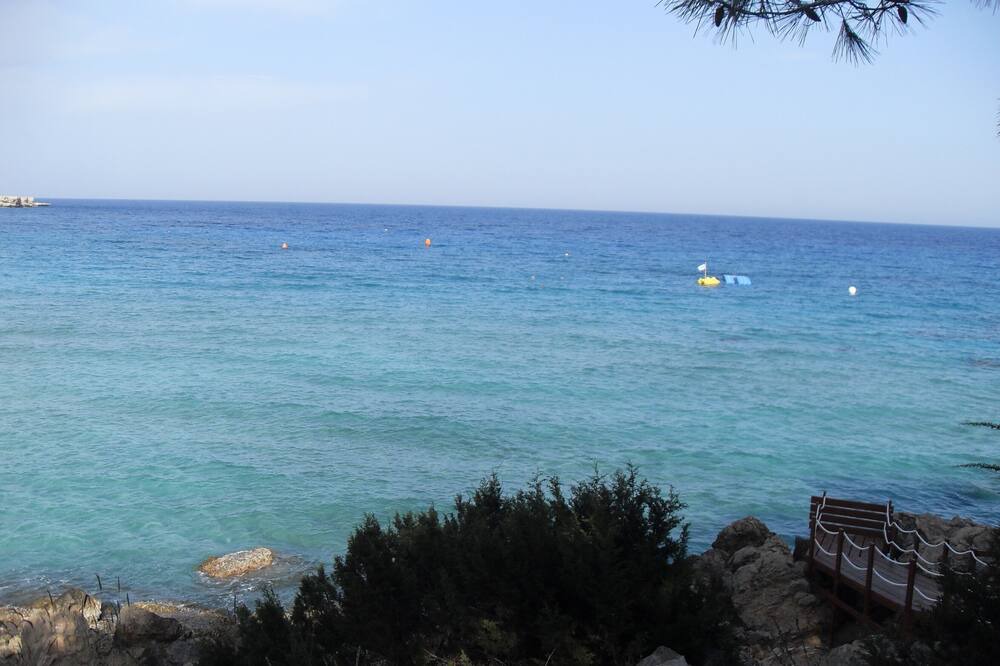 Photo of Others in Ayia Napa