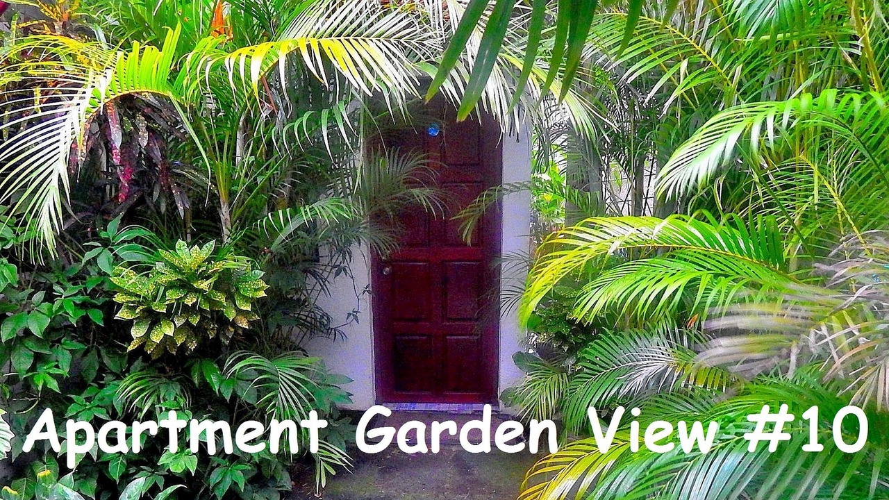 Photo of Outdoor in San Juan del Sur
