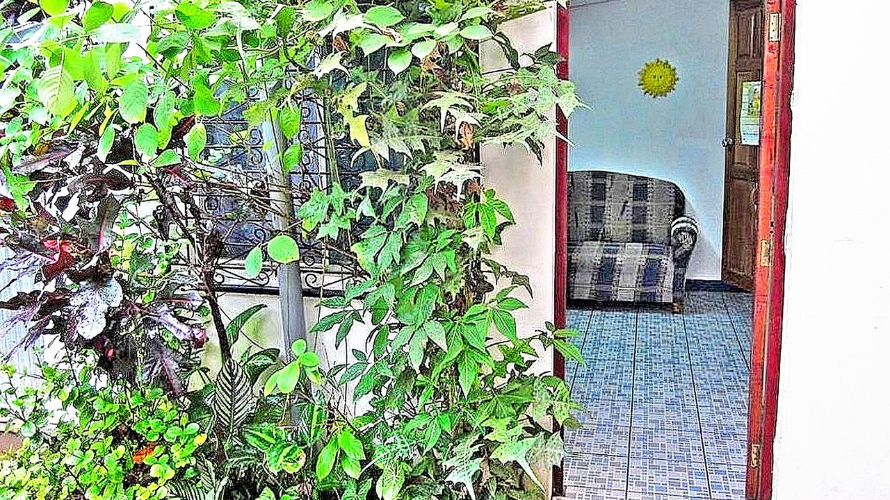 Photo of Bedroom in San Juan del Sur