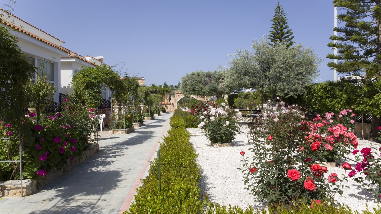 Photo of Outdoor in Latchi