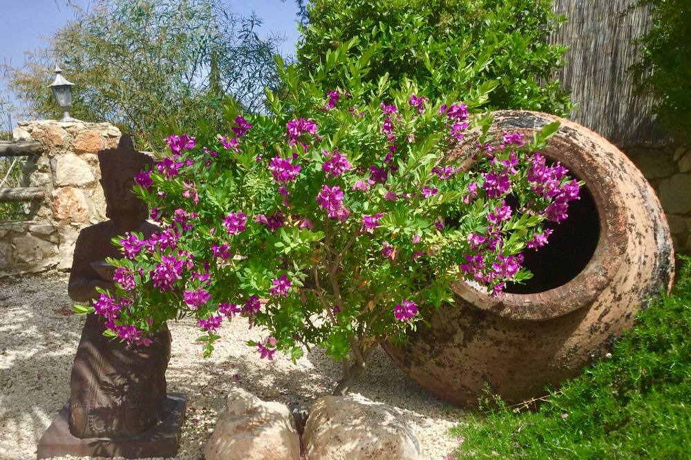 Photo of Outdoor in Peristerona