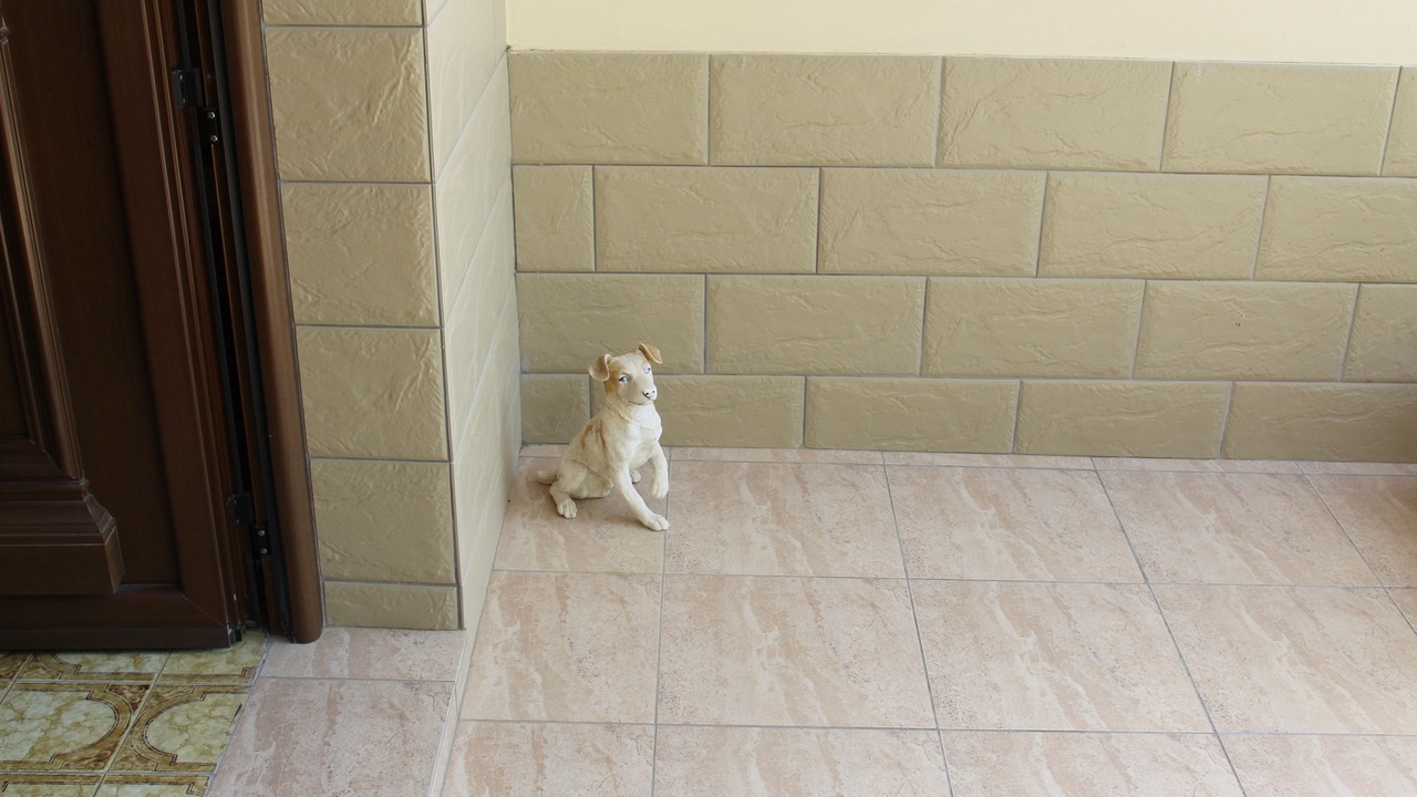 Photo of Outdoor in Tseri