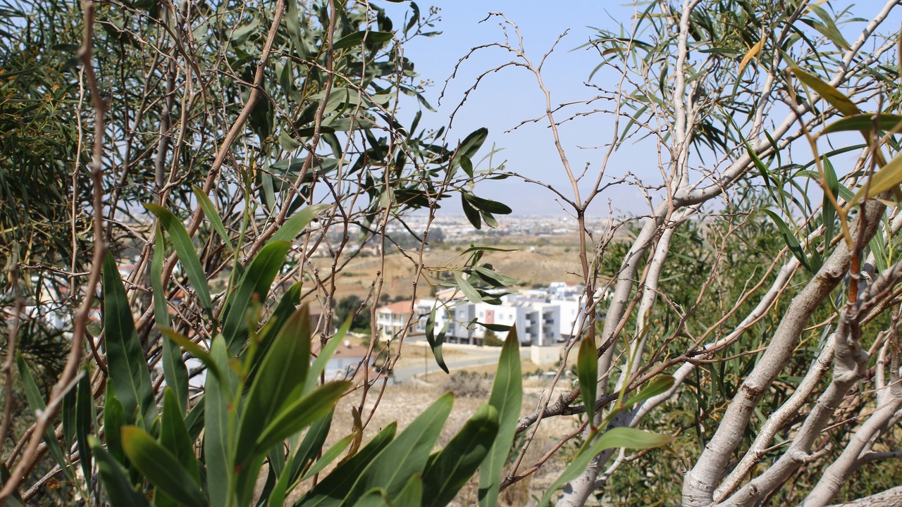 Photo of Outdoor in Tseri