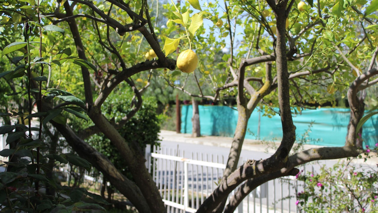 Photo of Outdoor in Tseri