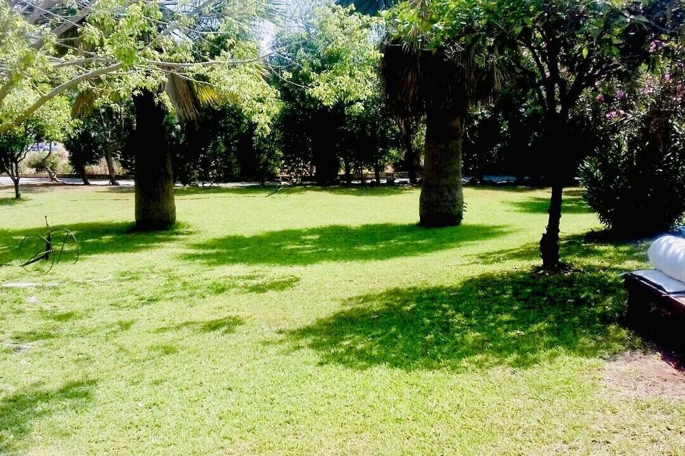 Photo of Outdoor in Koloni