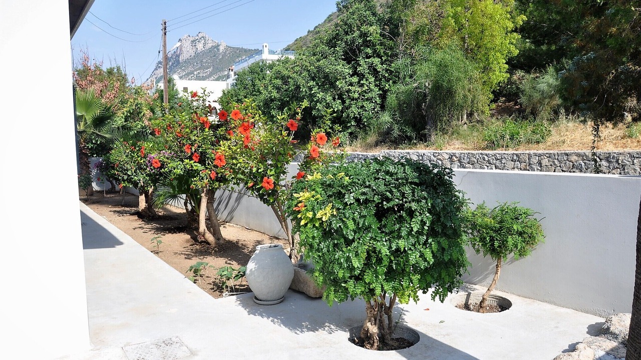 Photo of Outdoor in Karaman