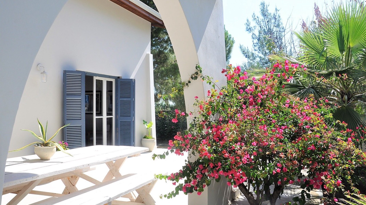 Photo of Outdoor in Karaman