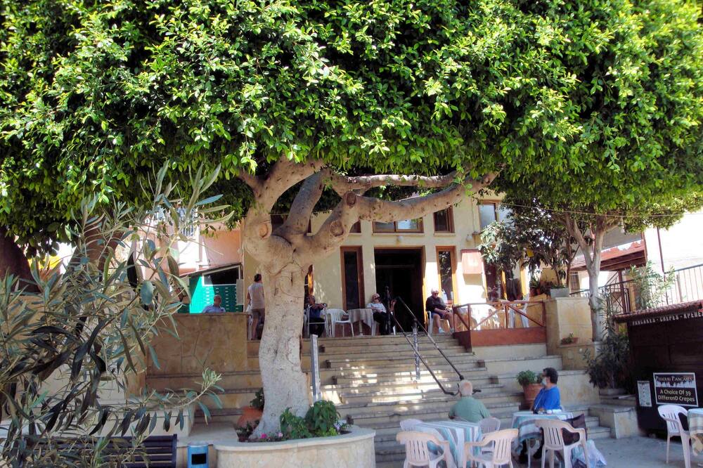 Photo of Outdoor in Pissouri