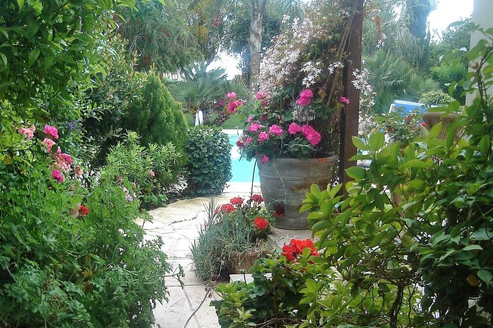 Photo of Outdoor in Pissouri