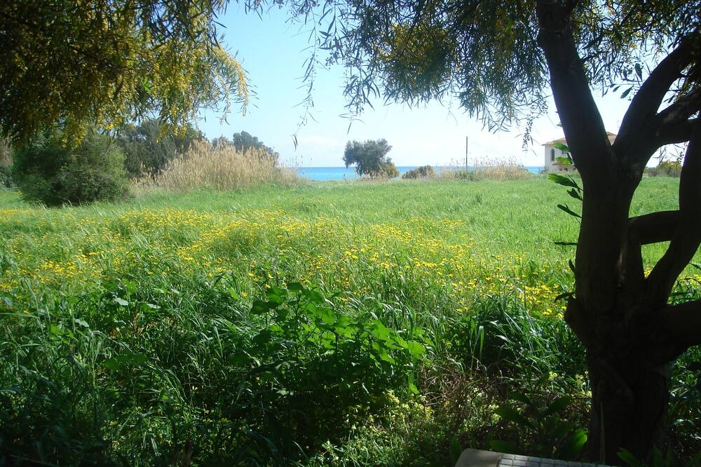 Photo of Outdoor in Pissouri