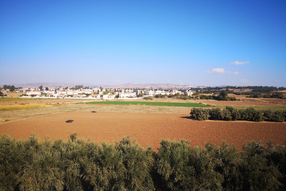Photo of Others in Mandria