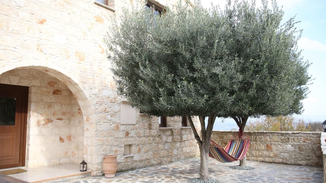 Photo of Outdoor in Theletra