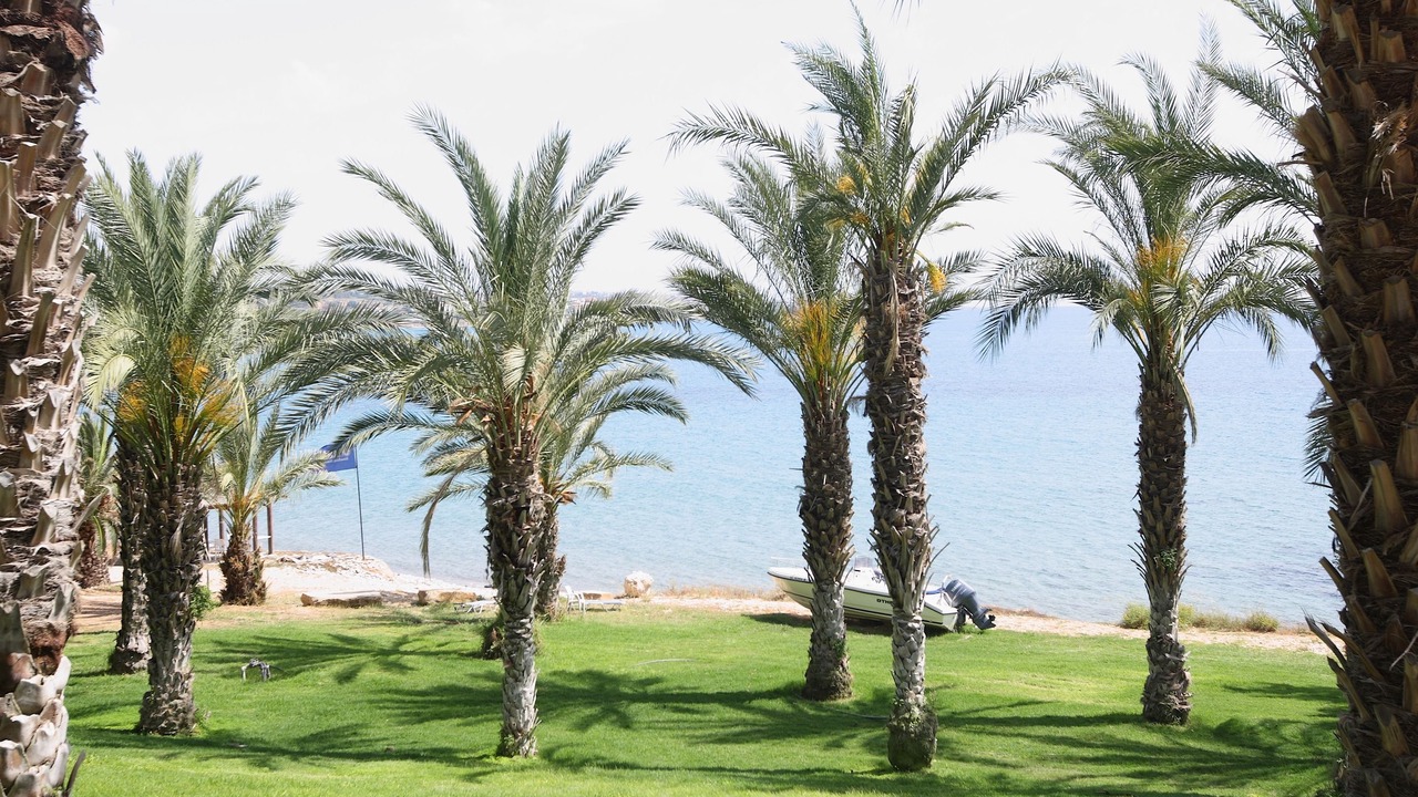 Photo of Others in Pegeia