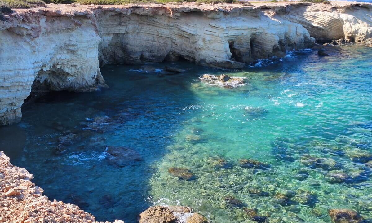 Photo of Others in Pegeia