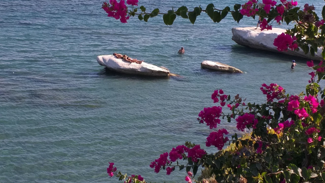 Photo of Others in Kalavasos